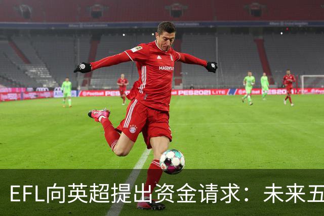 EFL向英超提出资金请求：未来五年需10.35亿英镑解决财务危机